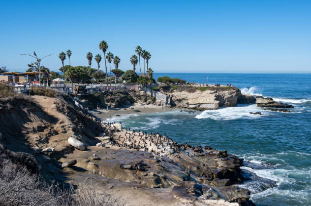 la jolla cove, em san diego - la jolla cove - fotografias e filmes do acervo