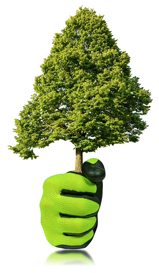 Close-up of a hand with green and black protective work glove, holding a green tree, isolated on white background.