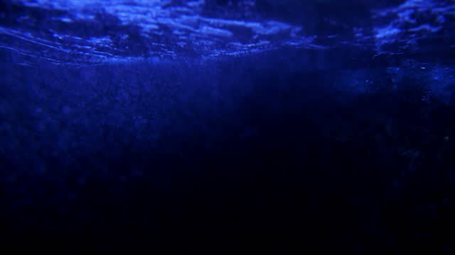 Underwater Ocean 96fps Slow Motion