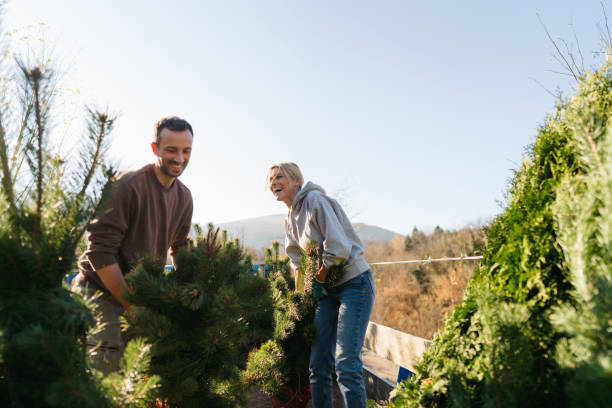 istock Delivery of pine trees for our yard 1473936967