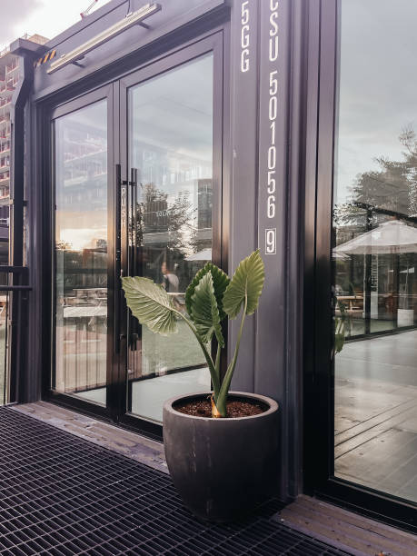 istock A plant in front of the building 1473937454