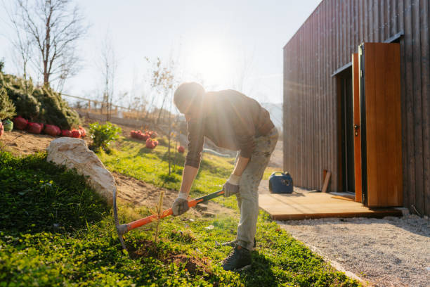 istock Preparing my yard for new plants 1473937473