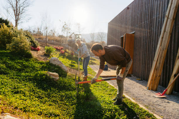 istock Preparing our yard for new plants 1473937655