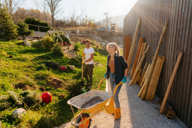 Landscaping of our yard