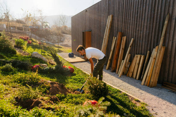 istock Landscaping of my yard 1473938160