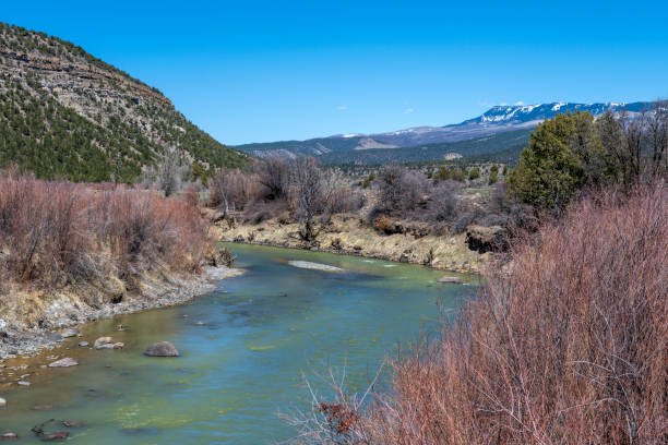Stream near Ridgway, Colorado in spring stock photo