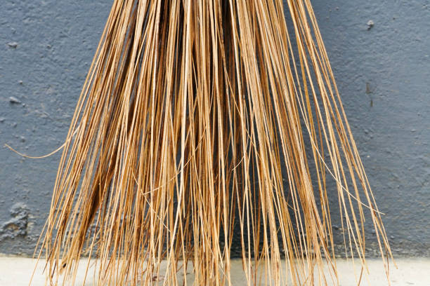 Coconut broom stick. Traditional cleaning broom stick isolated against wall. It is used in India from olden days. raffia stock pictures, royalty-free photos & images