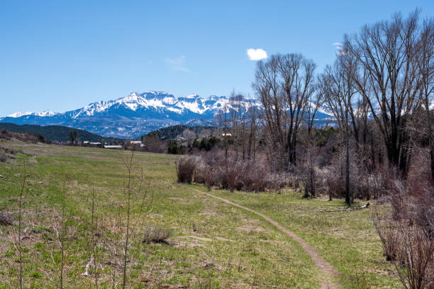 Spring landscape in Ouray County, Colorado stock photo
