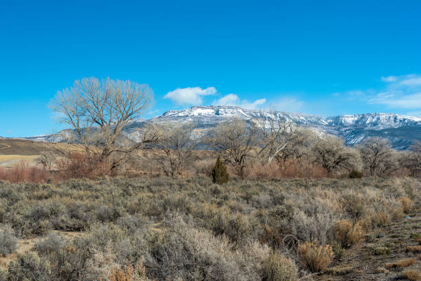 istock Snowy Grand Mesa Seen from Reeder Mesa 1473940488