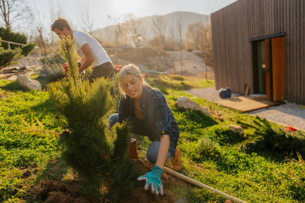 istock Working together in our yard 1473940713
