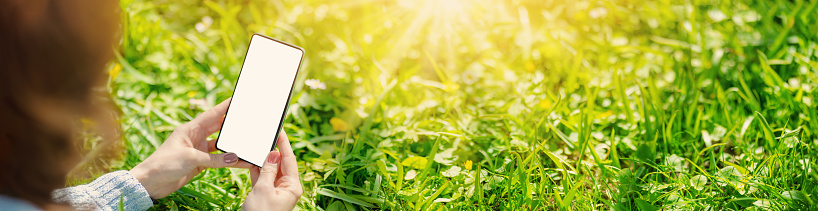 Woman holding in her hands smartphone with mockup screen. Panoramic view of the blossoming natural park.