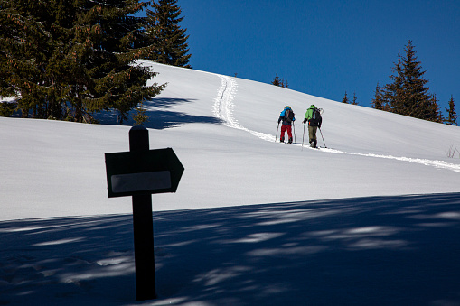 Skiers climb the snowy mountains. The sign indicates the way uphill, Carpathians