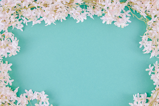 Empty Background With Jasmine Flowers