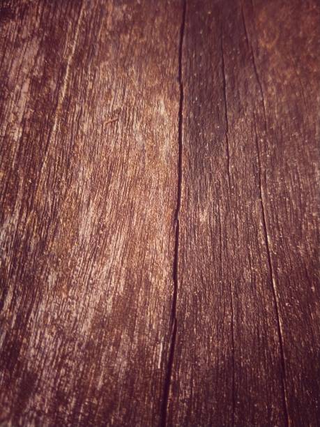 Large grain with dark brown color