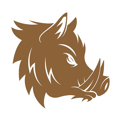 Wild Boar logo icon design illustration