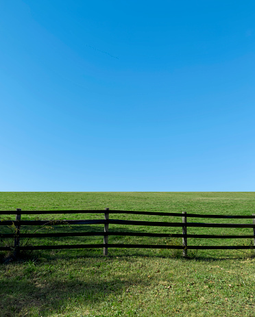 Empty field with grass and fences on a sunny day