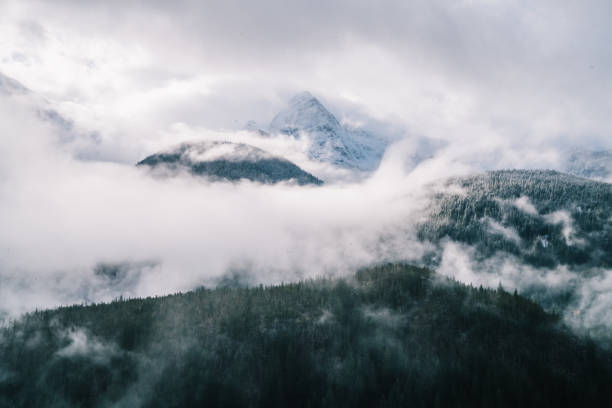 Picturesque aerial view of mountains peaks covered with thick mist floating over forest in overcast weather in USA during daytime