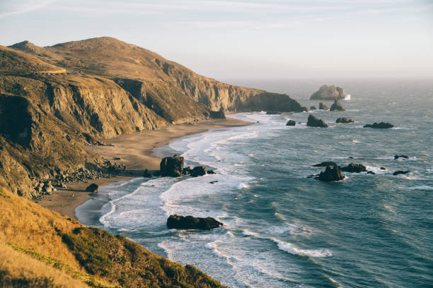 istock Rocky seashore with with mountains at evening 1473956010