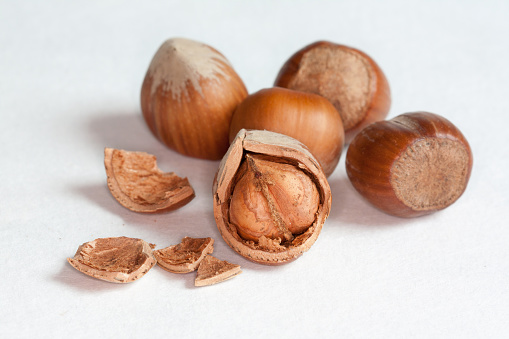 Open hazelnut in its shell among other whole hazelnuts on a white background