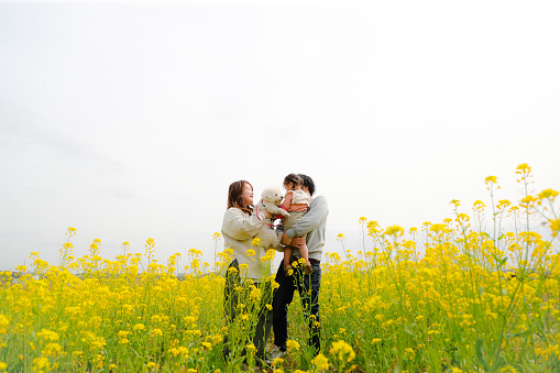 Happy Asian Family and Dog Enjoying Rape blossoms Picnic day at the weekend.
Travel and Insurance.