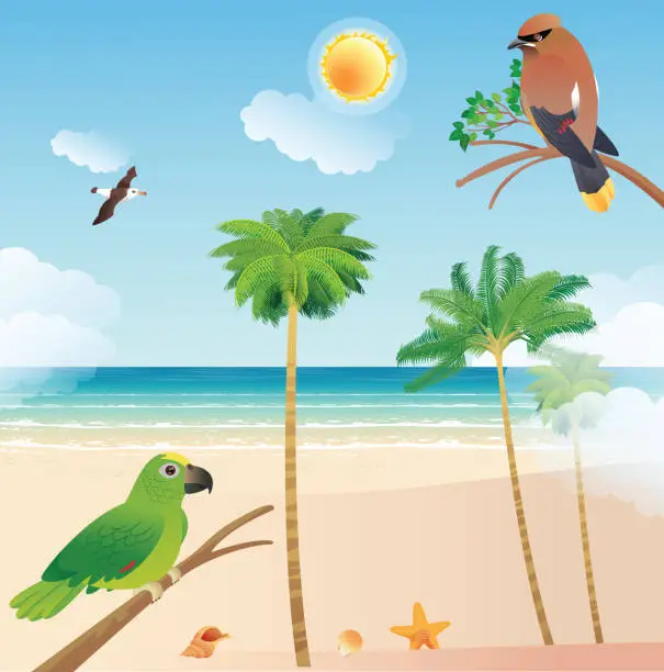 Vector illustration of Beach and Bird Cedar Waxwing