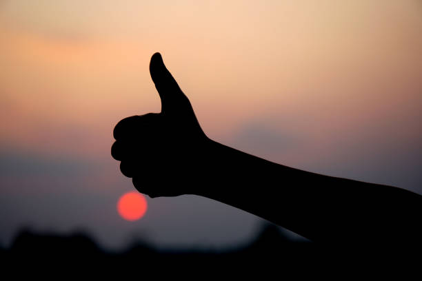 istock Human hand silhouette. Awesome. Sunset background. 1473959004