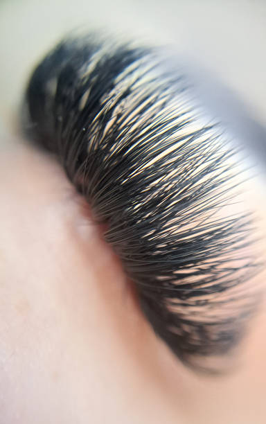 close up of eyelash extensions in beauty salon macro eye , close up of eyelash extensions in beauty salon macro eye ,2d volume 3d volume,russian volume, classical style, remover,patches,lash technician,beautician,lashmaker,cat eye clump eyelashes stock pictures, royalty-free photos & images