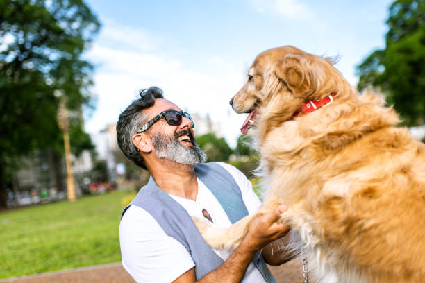 istock Mature man playing with golden retriever 1473960483