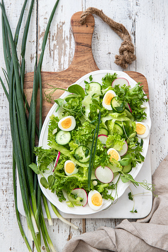 Fresh spring salad with lettuce, cucumbers and radishes