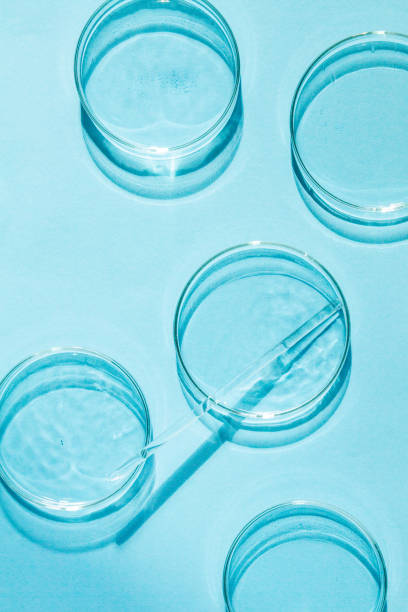 petri. un set di tazze di petri. una pipetta, tubo di vetro. su uno sfondo blu blu. - petri dish bacterium science laboratory foto e immagini stock