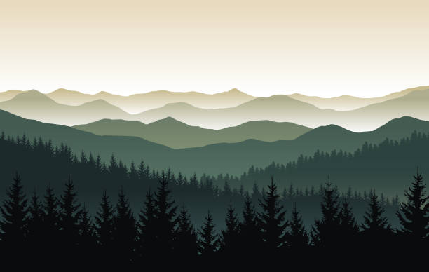 illustrazioni stock, clip art, cartoni animati e icone di tendenza di paesaggio naturale vettoriale con sagome di montagne e foresta - horizon over land tree sunset hill