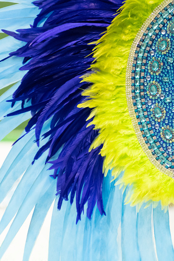 Image with the colorful plumage used in carnaval costumes