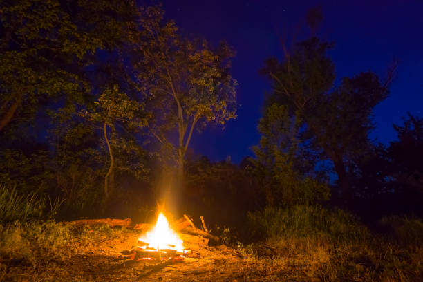 istock closeup camp fire on night forest glade, summer night camping scene 1473969919