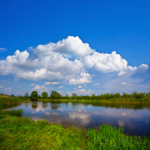 istock small calm river under blue cloudy sky at the  sumer  day 1473970070