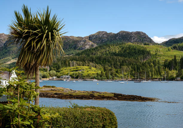 istock Plockton and Loch Carron 1473971699