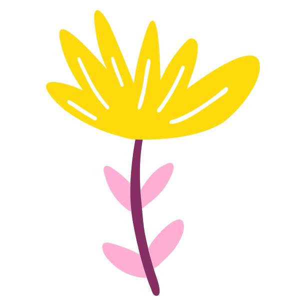 ilustraciones, imágenes clip art, dibujos animados e iconos de stock de planta abstracta dibujada a mano. ilustración vectorial de flor colorida minimalista, arte ingenuo - improvisar