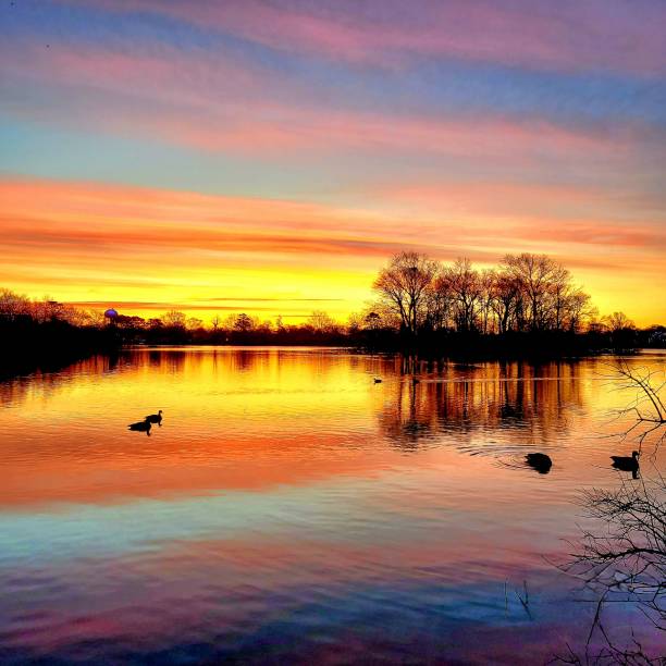 istock Multi color sunrise at the lake 1473973326