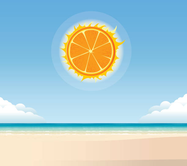 ilustraciones, imágenes clip art, dibujos animados e iconos de stock de sol naranja - miami beach