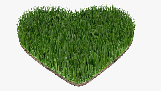 Green lawn heart shape on white background,environmental conservation,3d rendering