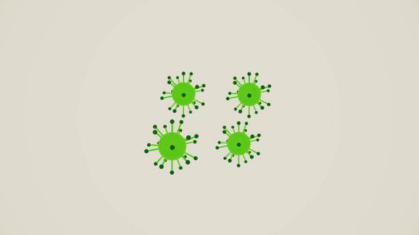 DNA - Molecular Structure,