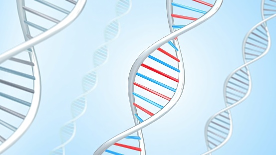 DNA - Molecular Structure,