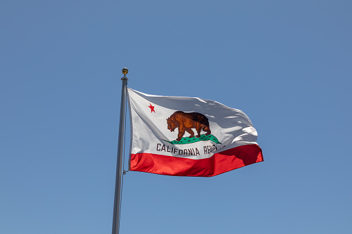 california flag with the bear as symbol for California, USA