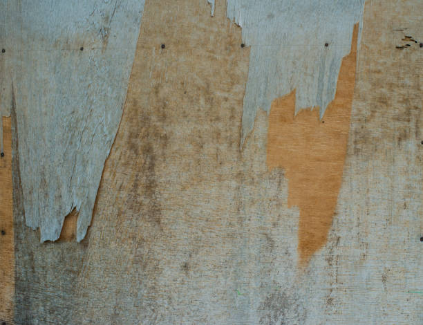istock textured wood background, aged rustic wood surface 1473979131