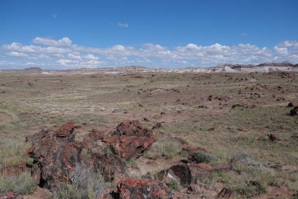 istock Petrified wood located inside Petrified Forest National Park 1473979387