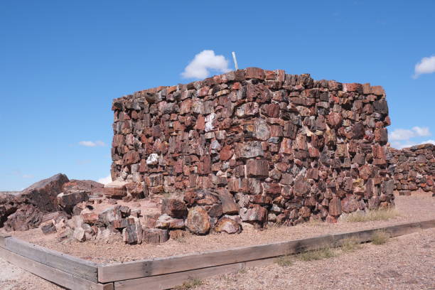 istock Petrified wood located inside Petrified Forest National Park 1473979449