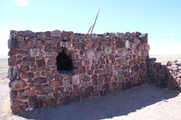 istock Petrified wood located inside Petrified Forest National Park 1473979454
