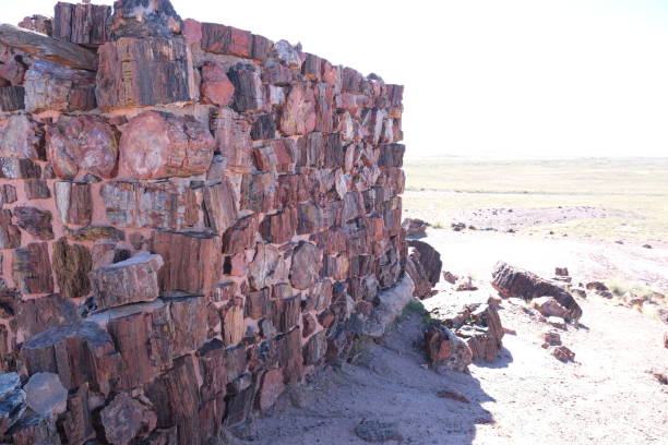 istock Petrified wood located inside Petrified Forest National Park 1473979457