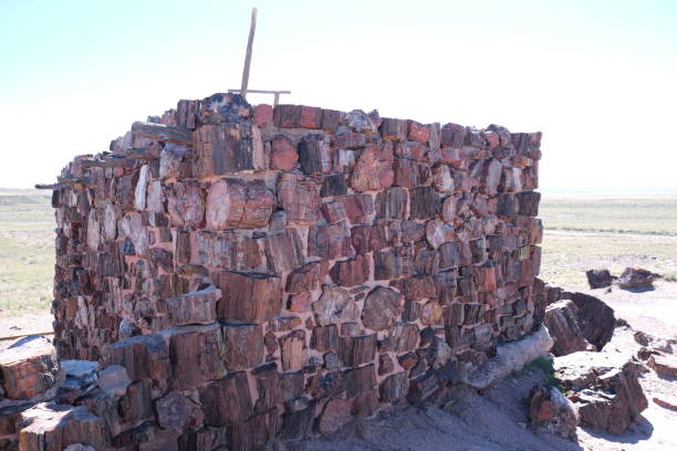 istock Petrified wood located inside Petrified Forest National Park 1473980008