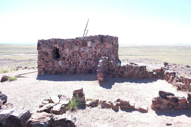 istock Petrified wood located inside Petrified Forest National Park 1473980592