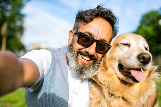 reifer mann, der ein selfie mit golden retriever macht - retriever golden retriever dog happiness stock-fotos und bilder